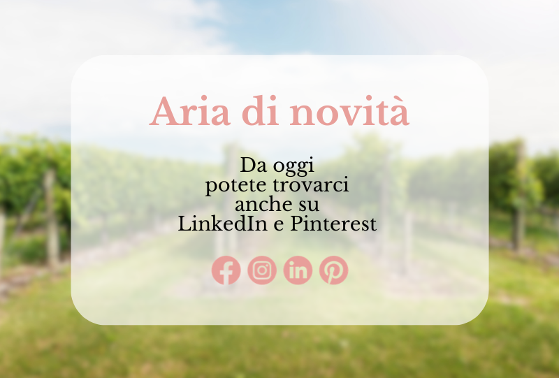 Borgo delle Rose - Abbiamo appena lanciato i nostri nuovi profili LinkedIn e Pinterest